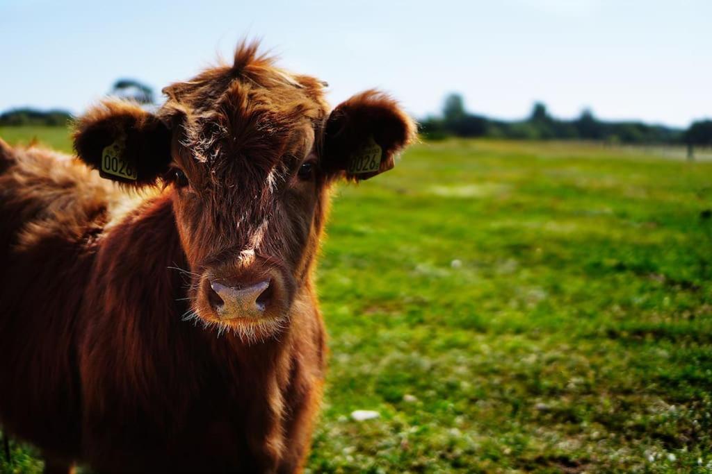 Gite De Charme A La Ferme - Duplex Landrévarzec エクステリア 写真